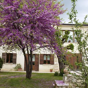 Bed & Breakfast Altè, Paderno del Grappa